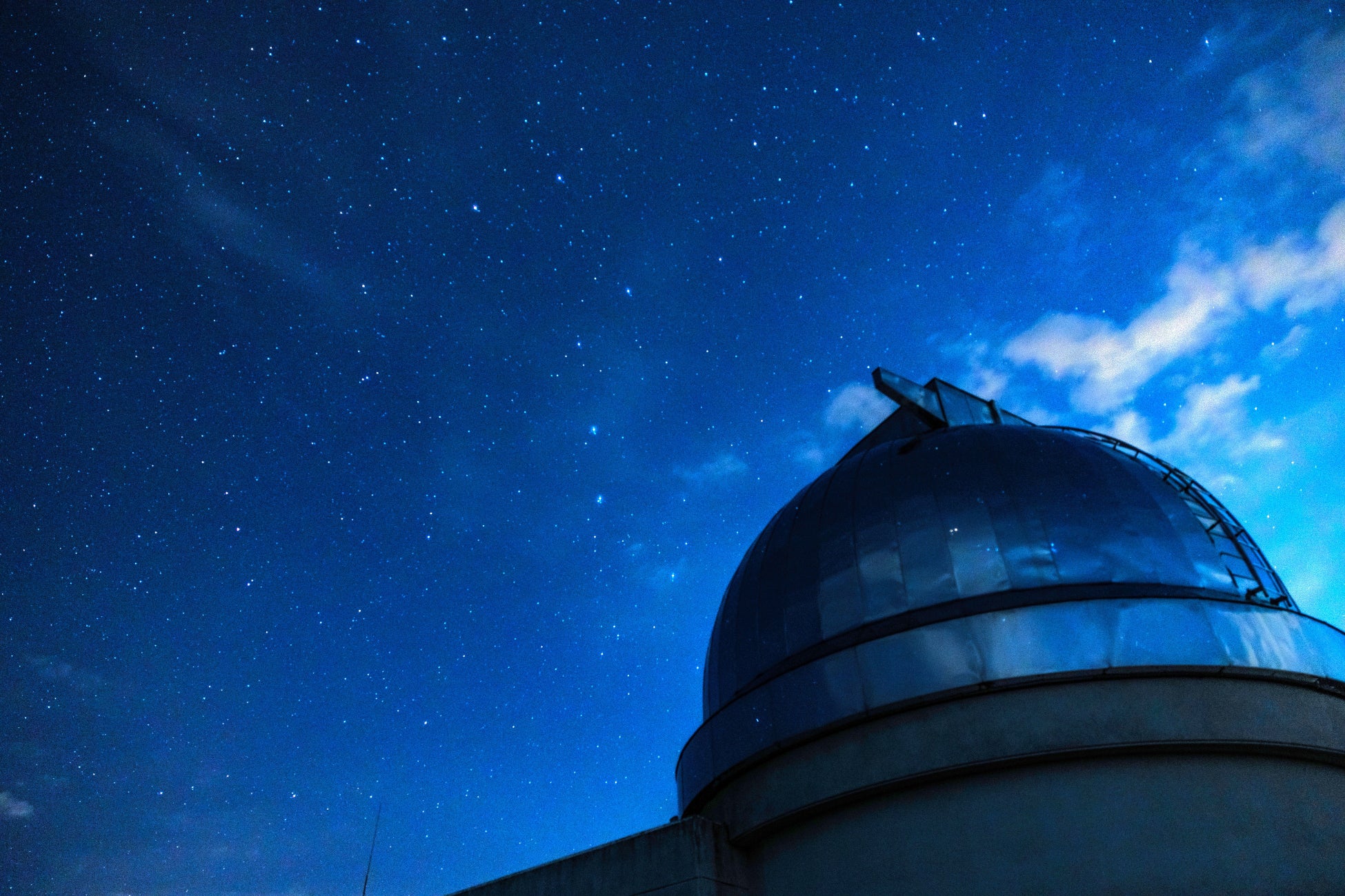 【ザ・カハラ・ホテル&リゾート 横浜】クラシックな技法を大切にミリ単位で計算した配合がもたらす繊細な味わい「クリスマスケーキ 2025」