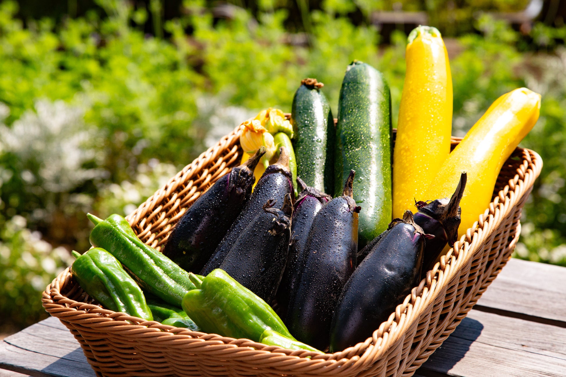 “もうひとつの東京”とつながる緑のマーケット「TOKYO WESTSIDE FES 2025 やまくらし市」10/4(土)~10/5(日)開催!