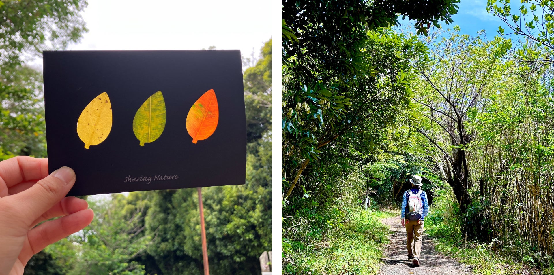 自然派ラグジュアリーリゾート「シックスセンシズ 京都」が、初のビジティング・プラクティショナーによる特別なスパ体験を提供