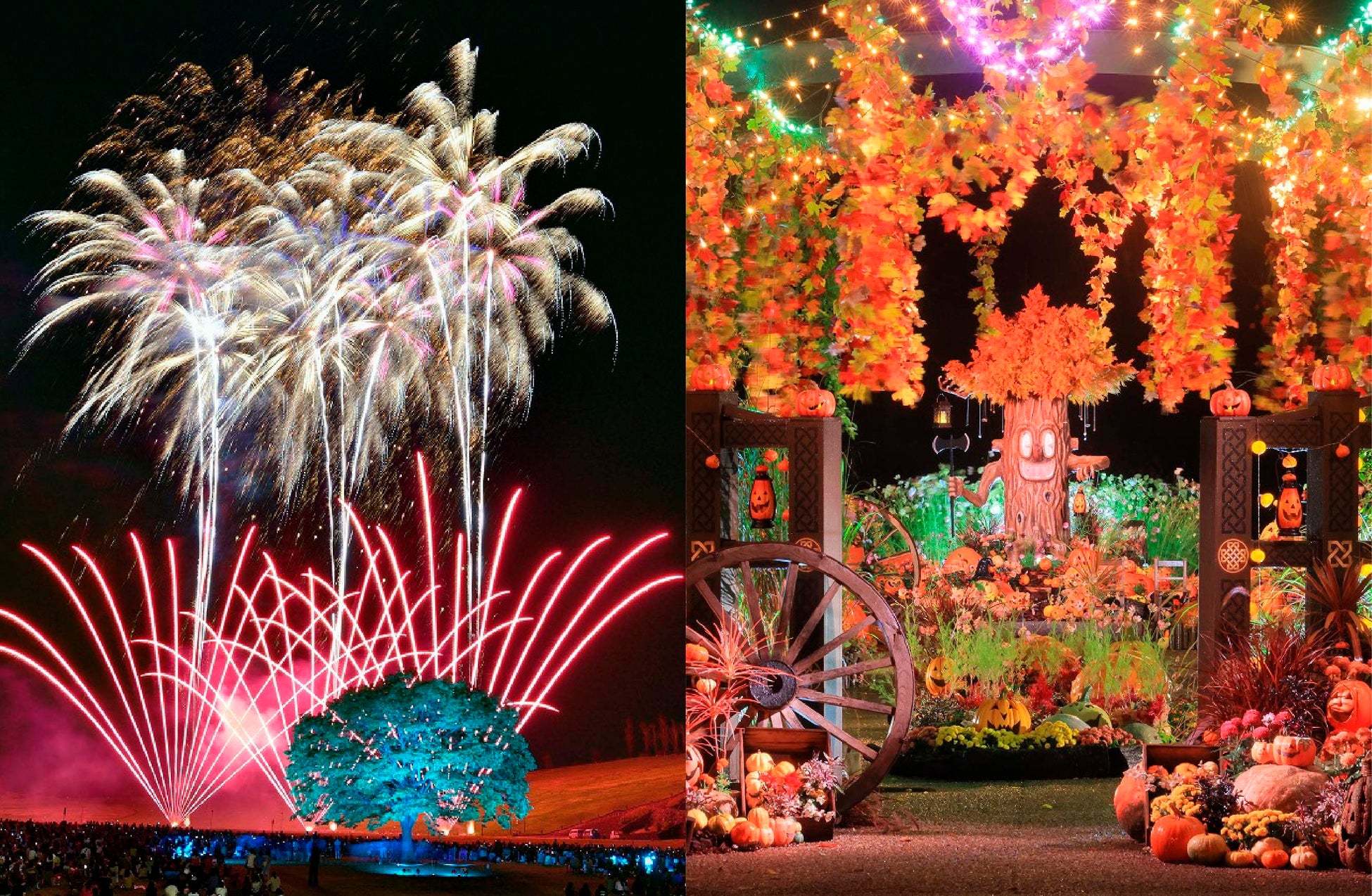 玉造温泉の旅館「玉井別館」が「OQOQ」へ名称変更ー県内最大級キッズスペースなど新設&「ウェルカムベビーの宿」認定でリニューアルオープン