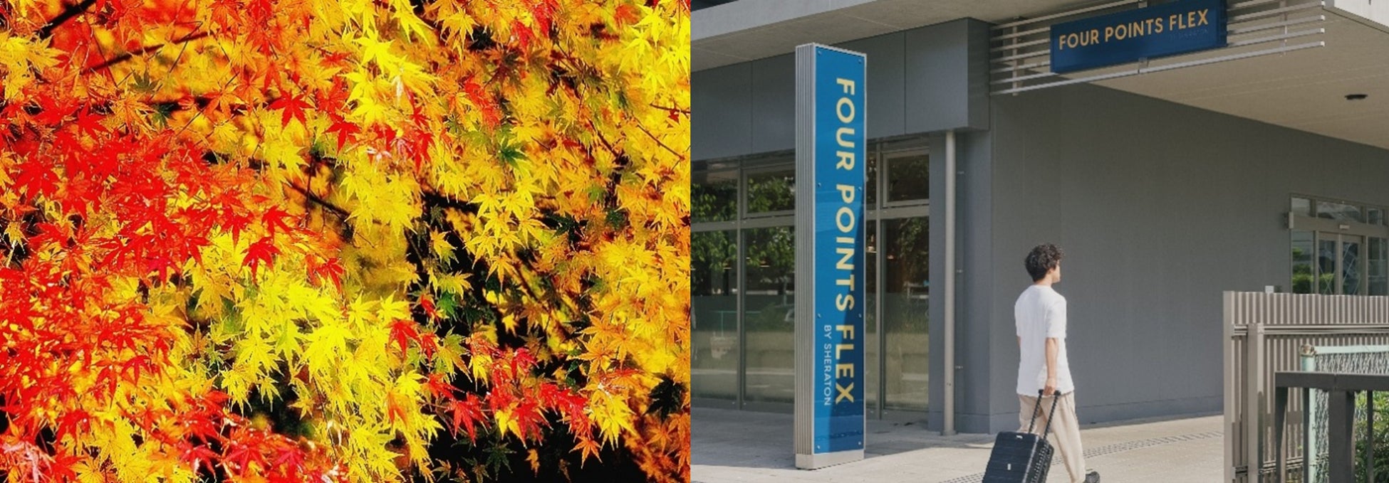 沖縄県うるま市 勝連城跡、世界遺産登録25周年記念イベント「勝連城スカイランタン宵祭り2025」を11月に開催