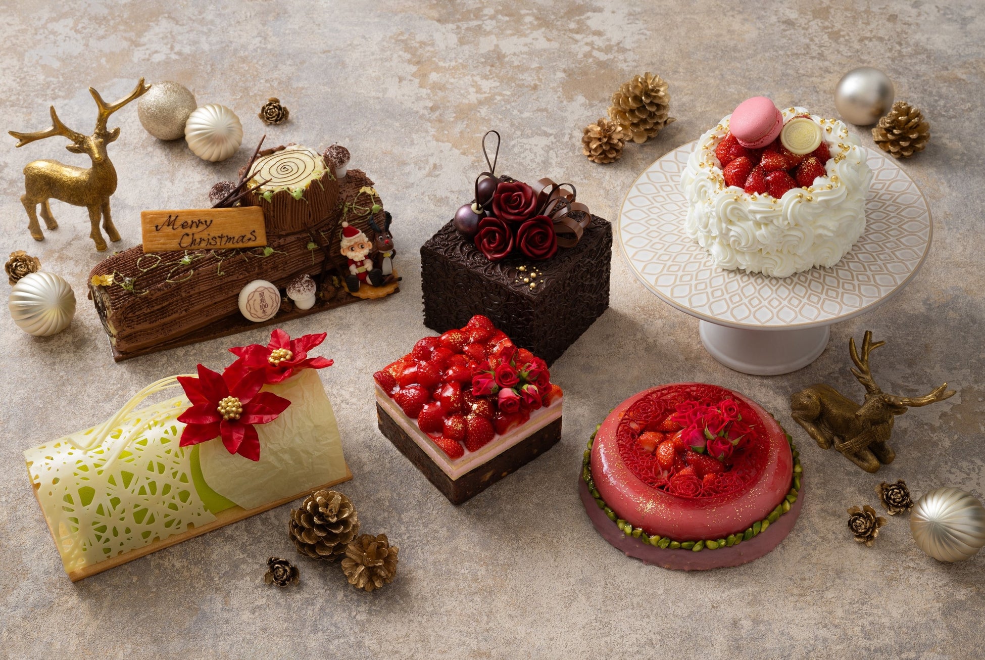 【日本モンキーパーク】推しキャラクターに会える!? サンリオキャラクターズのイベント開催決定!2025年10月4日(土)~2026年2月8日(日)<愛知>