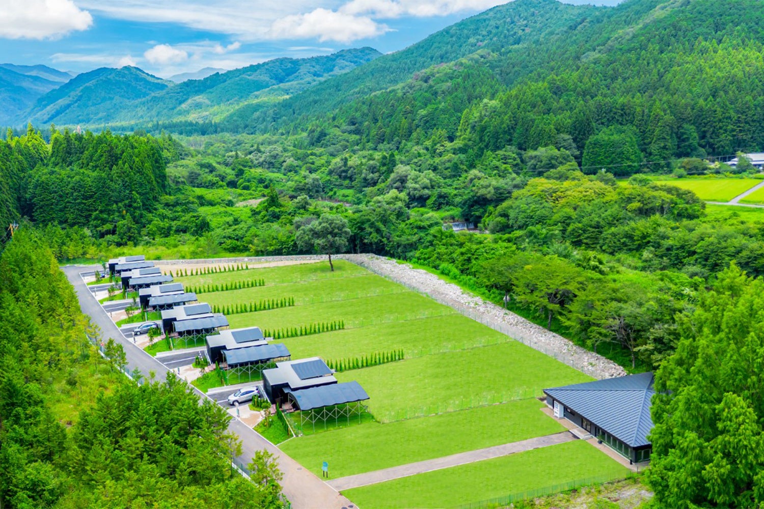 【期間限定】オリーブ収穫体験付き宿泊プラン予約受付開始。小豆島オリーブハーベストステイ ~手摘みオリーブの恵みを体感する~