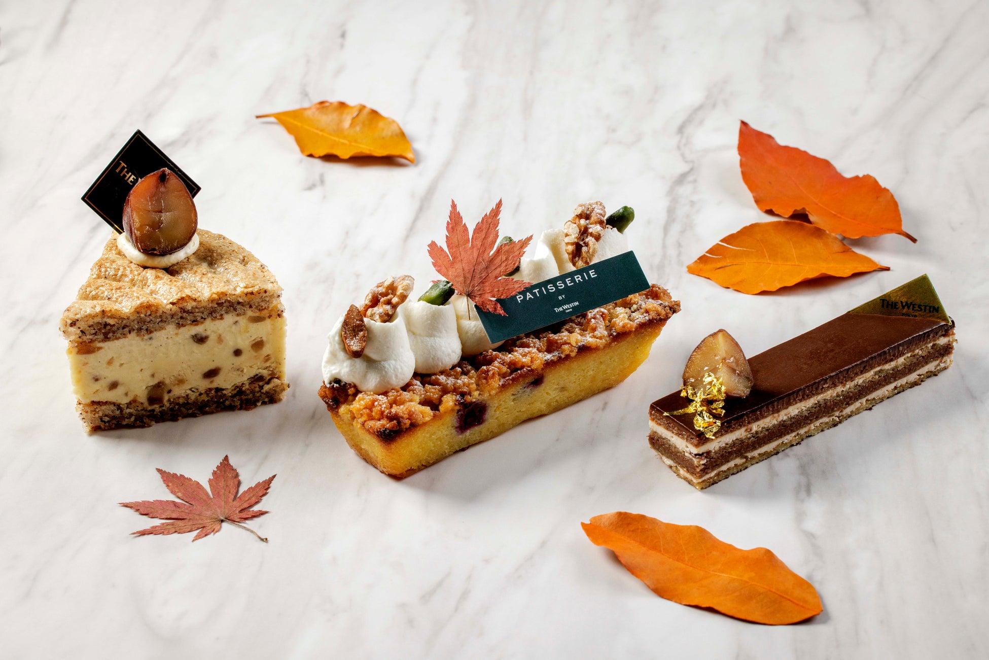 200年の時を超えて蘇る「金笛 江戸蔵」でしょうゆ・発酵文化を世界へ発信!