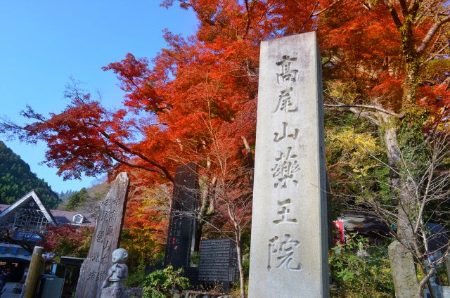 瀬戸内の海辺で“サウナの詩”を描く。「第16回 せとうちTシャツアート展」へ3作品を出品【愛媛県・キスケ株式会社】