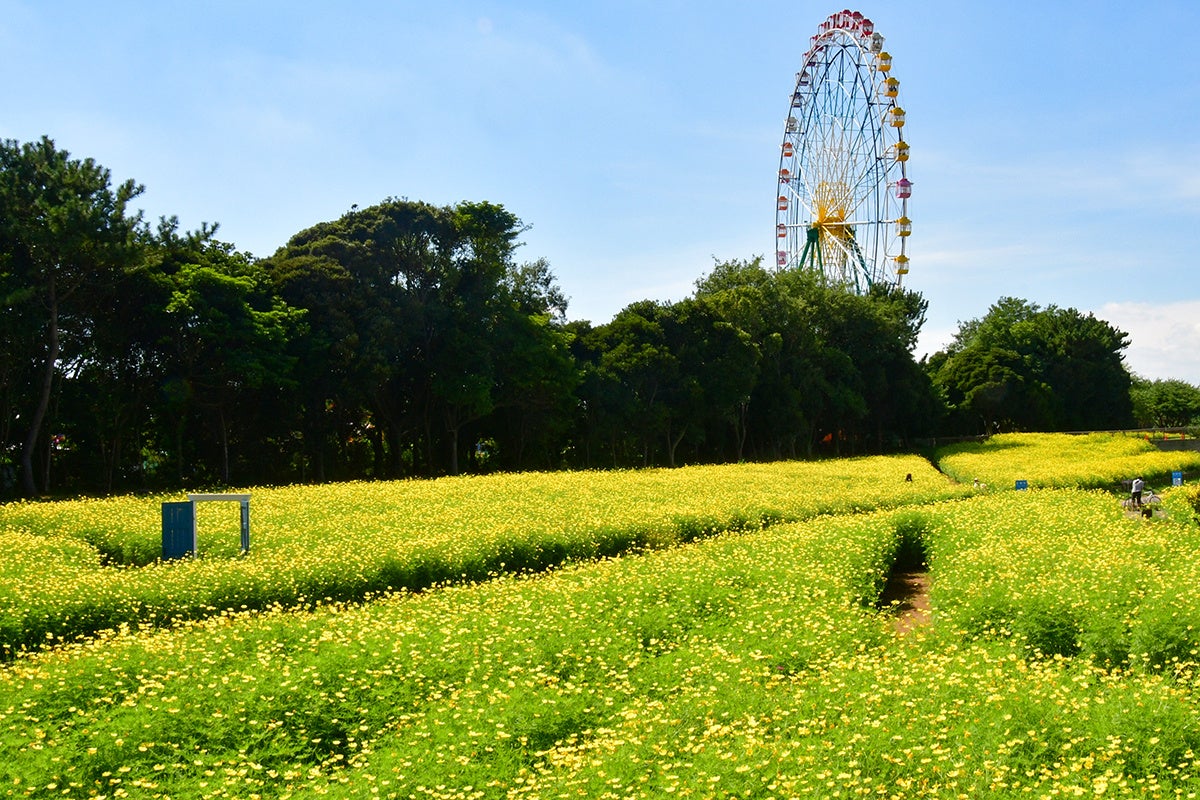 地球上で最も眩い宝石「皆既日食」を求めて航く北極クルーズ