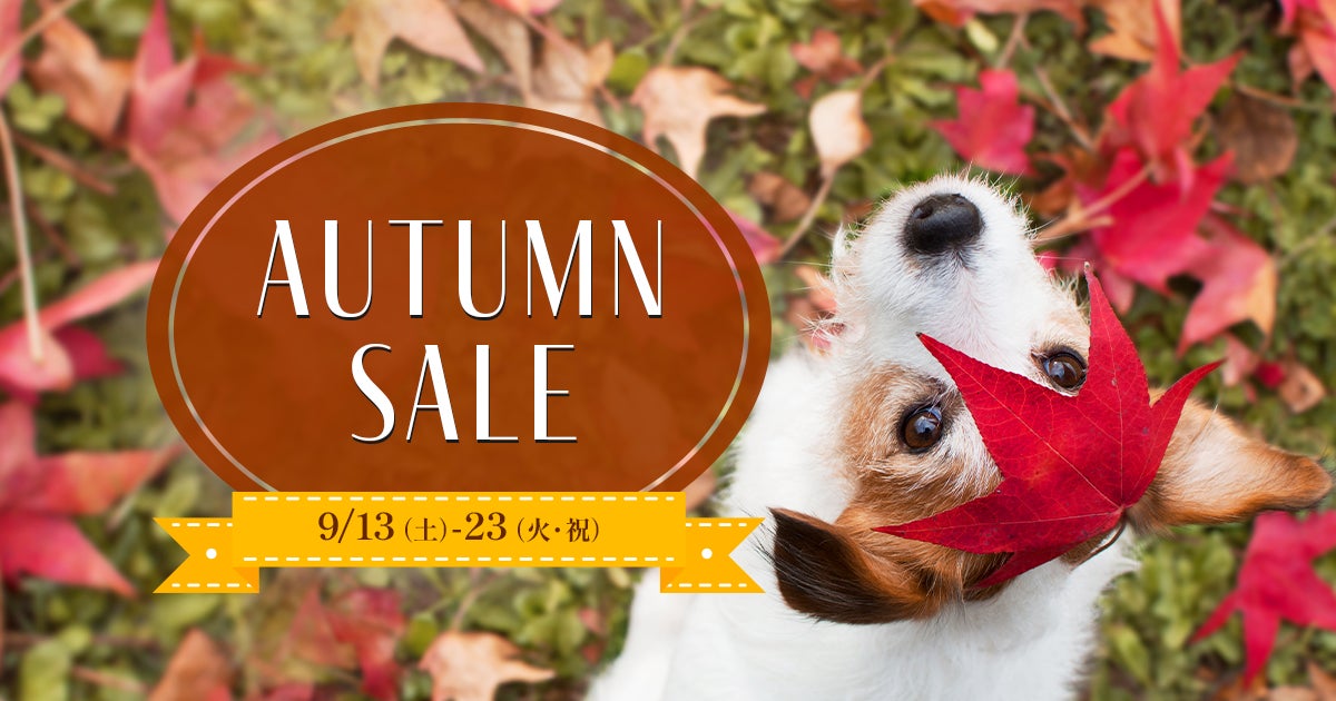 Restaurant Bellustarが贈る秋限定コース『素材で旅する 中国・四国』|BELLUSTAR TOKYO〜各地の特色豊かな旬食材で巡る、美食の旅〜