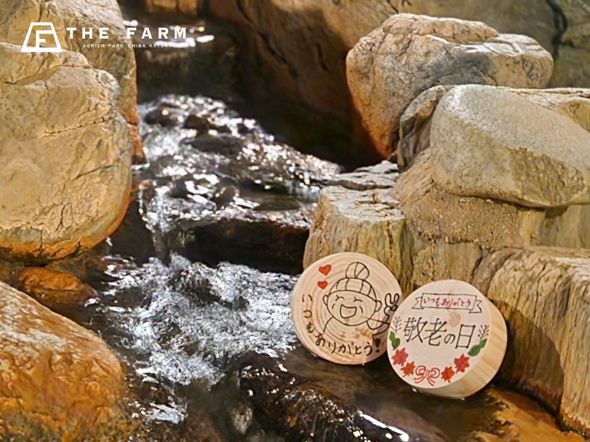 伊沢拓司と7人の有識者が「灯台時間」の謎に迫る「海と灯台サミット シンポジウム」10月21日開催