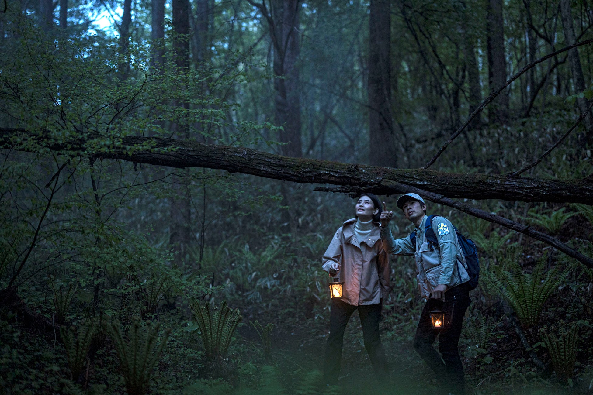 ニジゲンノモリ「ドラゴンクエスト アイランド」 HD-2D版『ドラゴンクエストI&II』コラボイベント開催決定!