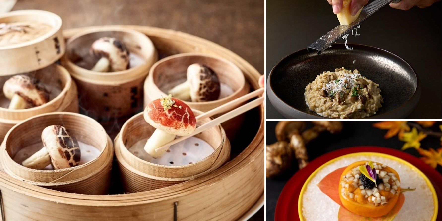 和牛・日本酒/焼酎・日本茶をテーマにした「九州ブランドステージ」も開設 九州・沖縄地域の外食・宿泊・観光業界向け展示会「第7回 Hospitality & Food Week in 九州・沖縄」を開催