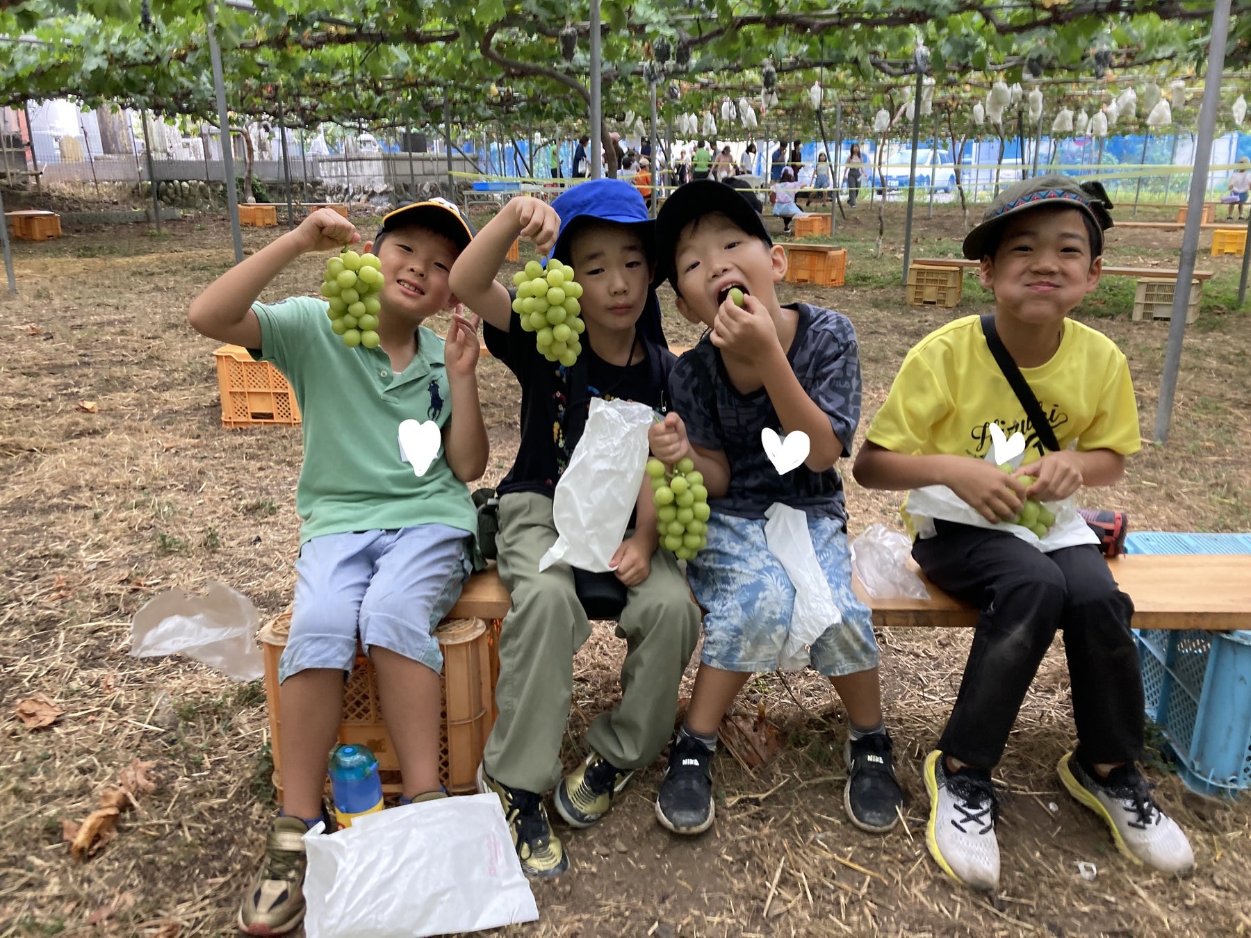 敬老の日当日は65歳以上の方はマザー牧場の入場料が無料!オトクが嬉しい同伴者の割引も!『敬老の日 感謝ウィーク』9月8日~15日に開催!