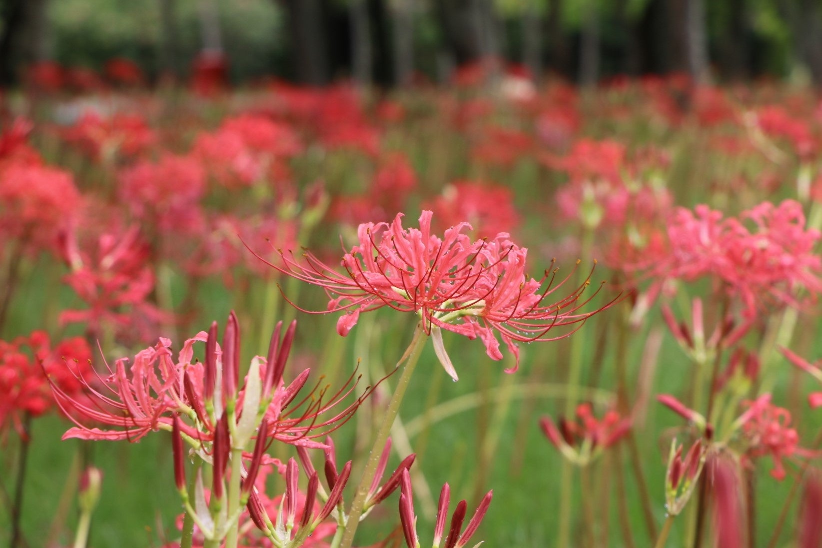 来たれ、ものづくりの産地たち​MUIC×MUFG×SOEによる新たな産地間プラットフォーム​「KOGEI COMMONS」発足