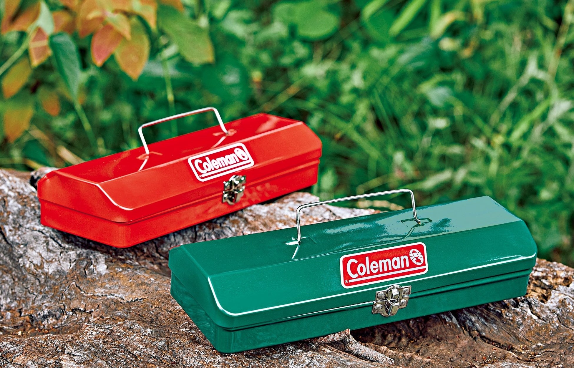 九州最大規模のケイトウ畑「ブライトスパークス」が高原を染上げる