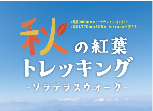 【岡山・夢二郷土美術館 本館】夢二式美人の新たな表現につながる作品を初公開 2025年秋の企画展「永遠なれ、夢二のミューズ」開催