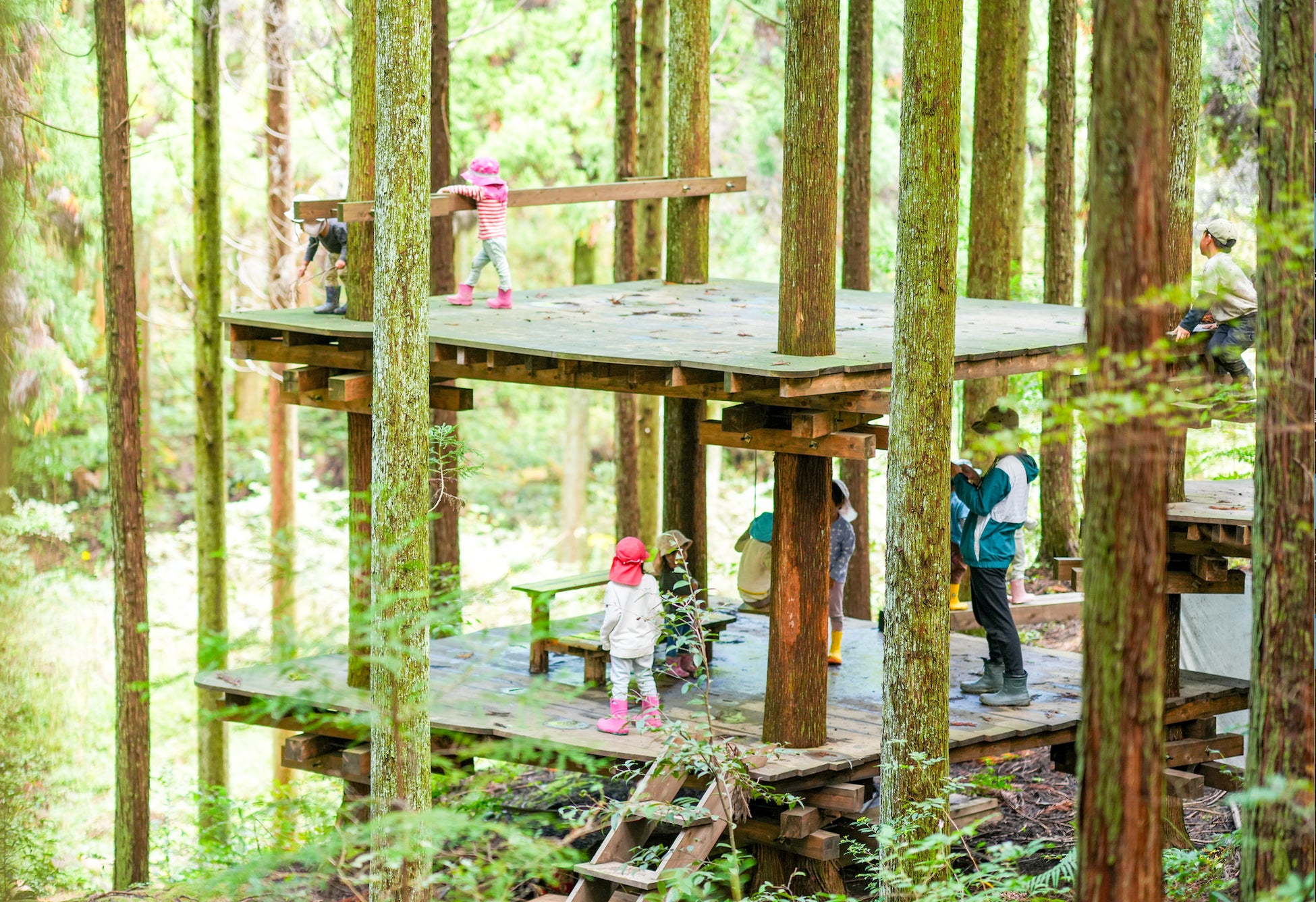 【ホテルメトロポリタン盛岡】食の饗宴2025 旅する美食・台湾 TAIWAN GOURMET JOURNEY