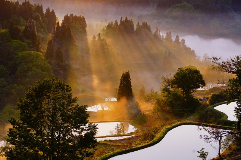 【ホテル日航アリビラ】「las luces(ラス ルセス)- クリスマスイベント2025」を開催