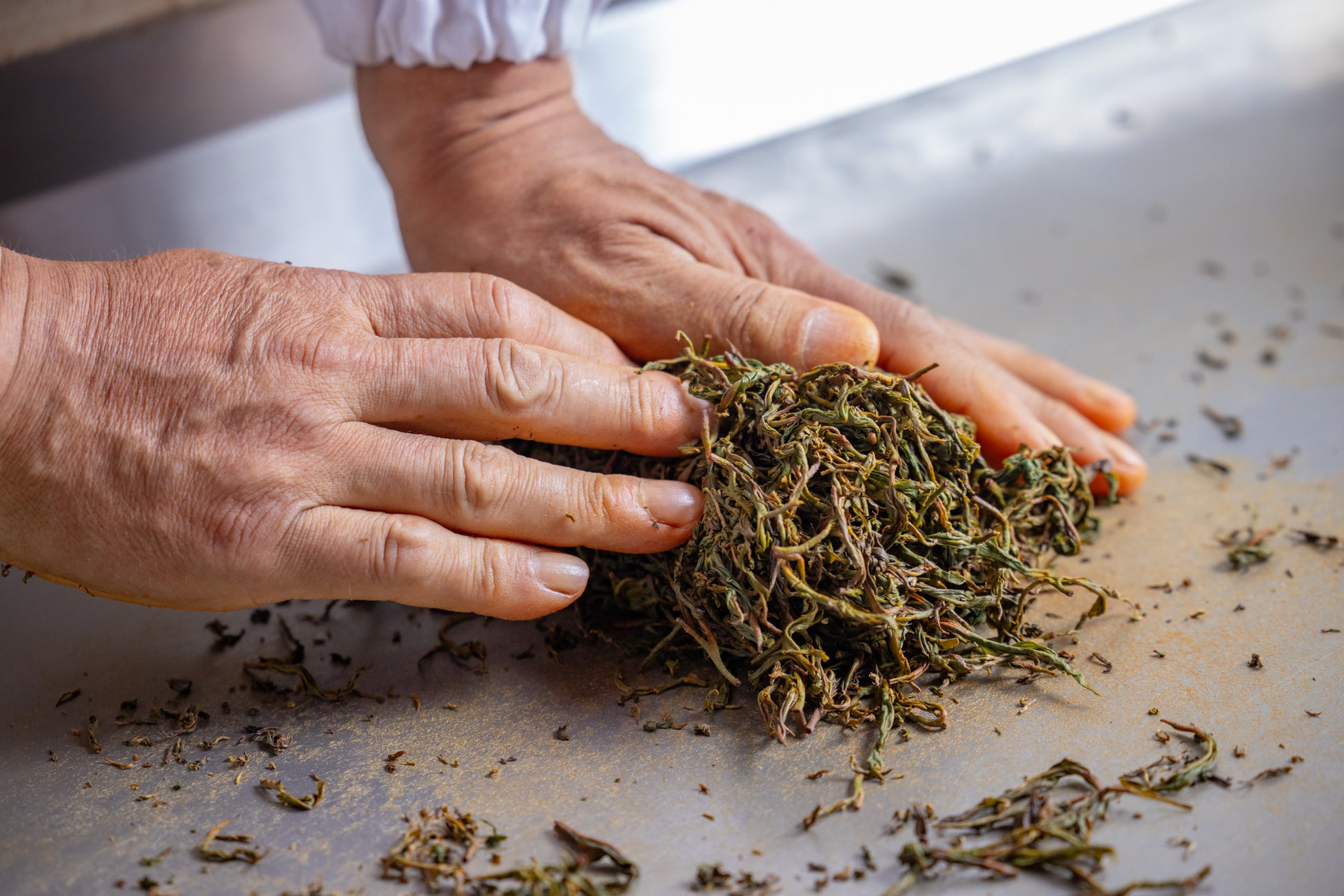 収穫体験や高校生バンド演奏が登場　家族で楽しむ秋の『タングラムファミリーマルシェ』開催