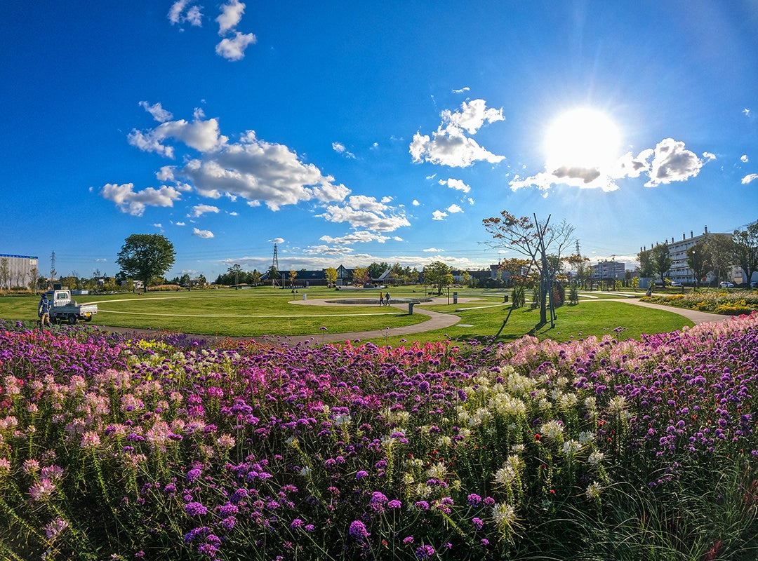 チームラボ バイオヴォルテックス 京都、10月7日(火)オープン。「運動の森」や「学ぶ！未来の遊園地」の作品群を先行公表。チケット発売中