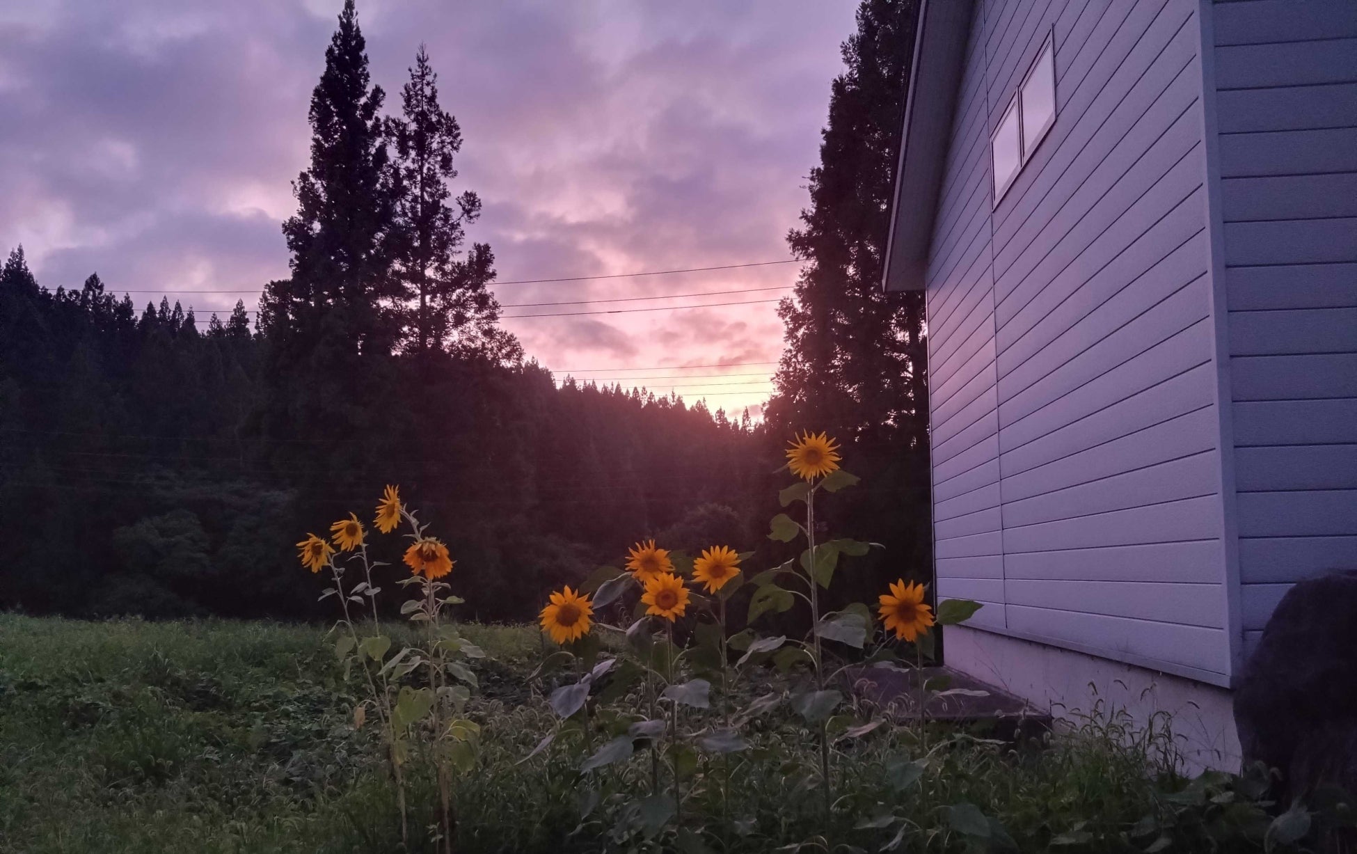 【ホテルテラスザガーデン水戸】茨城県水戸市ふるさと納税返礼品として”常陸牛”や”常陸乃国いせ海老”など茨城の恵みを盛り込んだ3種類の「ホテル謹製おせち」を先行受付開始!