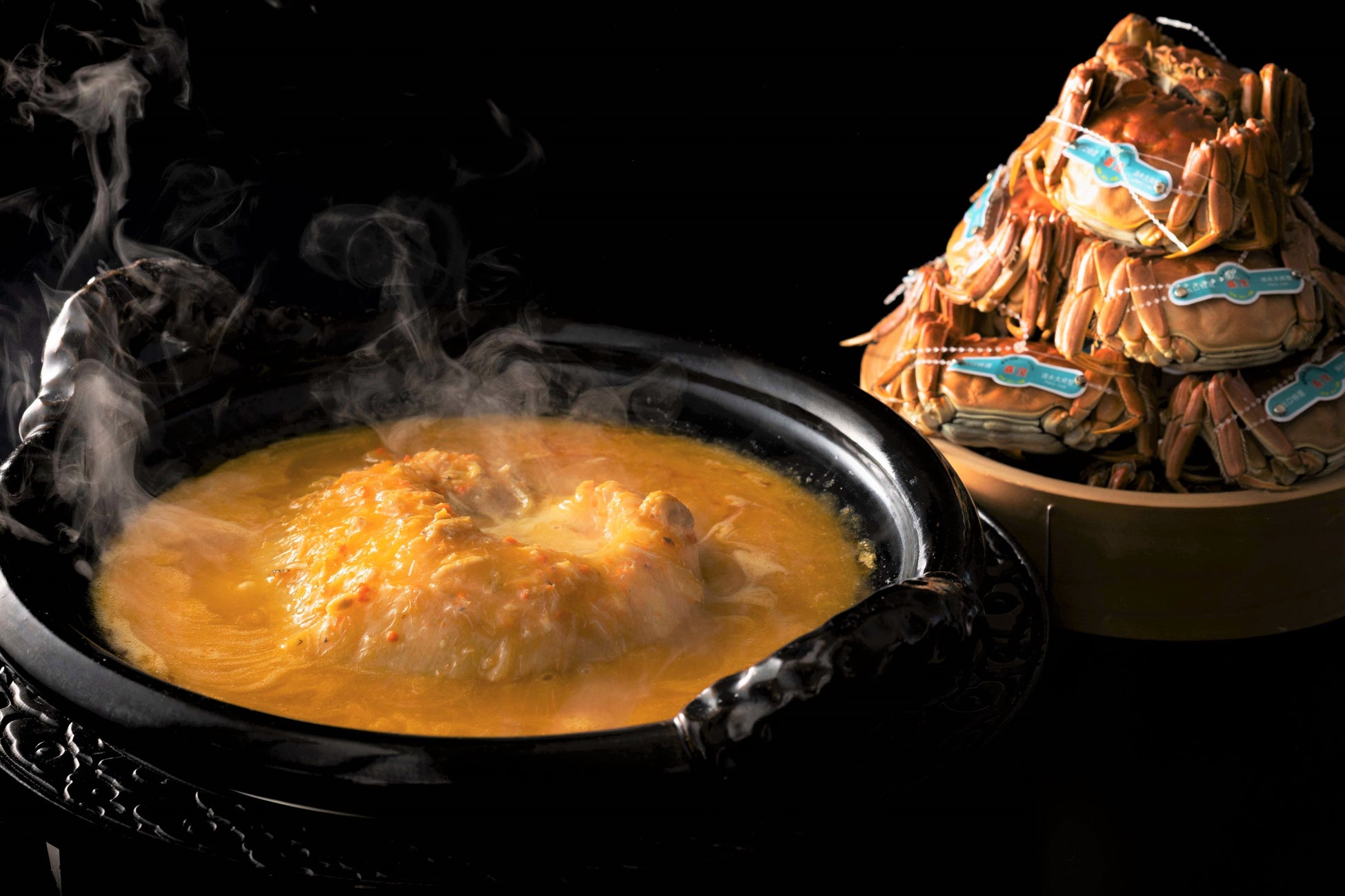 音楽と光あふれる、秋の福岡市へ!五感で楽しむ話題のイベントがふるさと納税返礼品に登場!