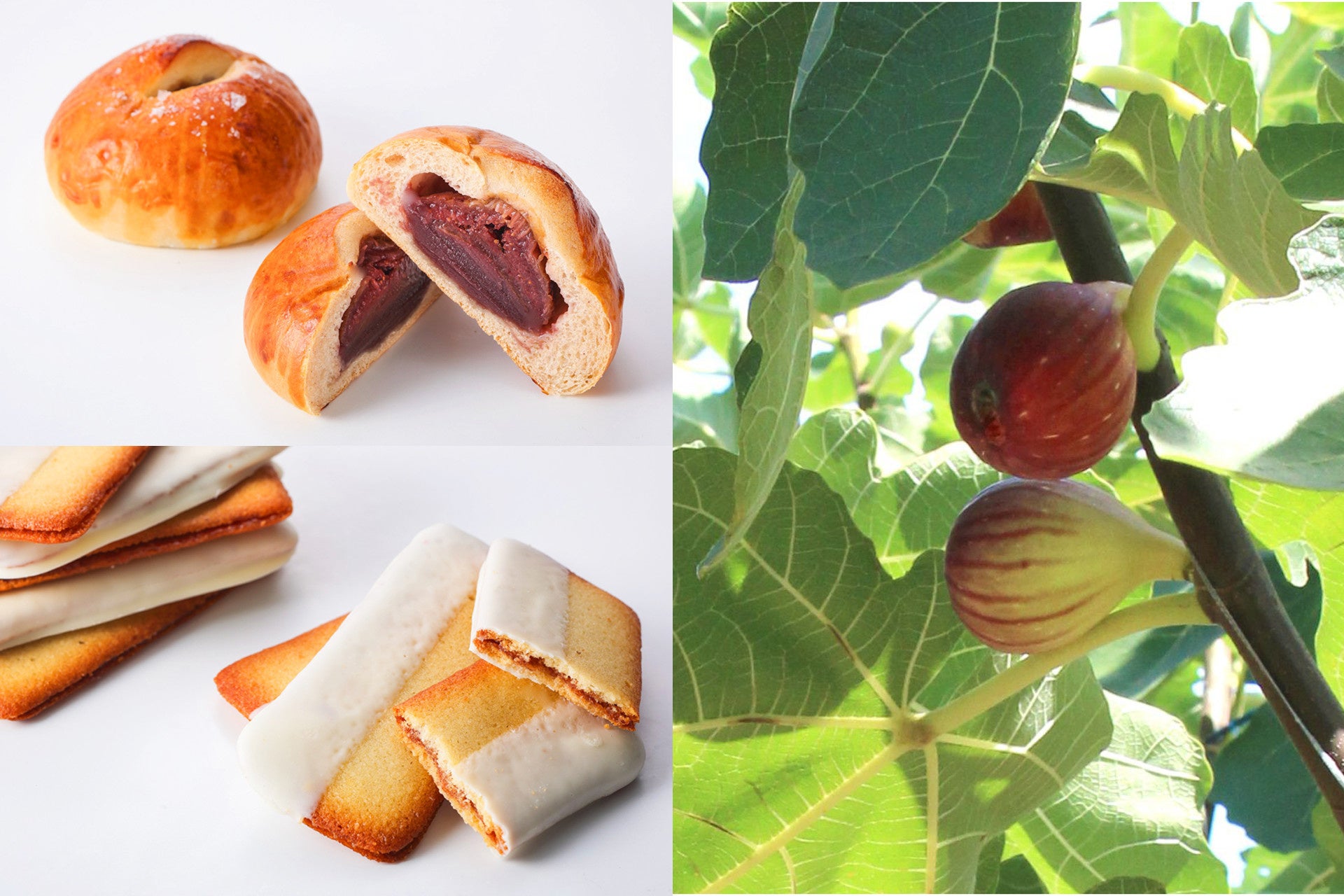 南東トルコの需要創造への取り組みが第9回「ジャパン・ツーリズム・アワード」実行委員長賞受賞