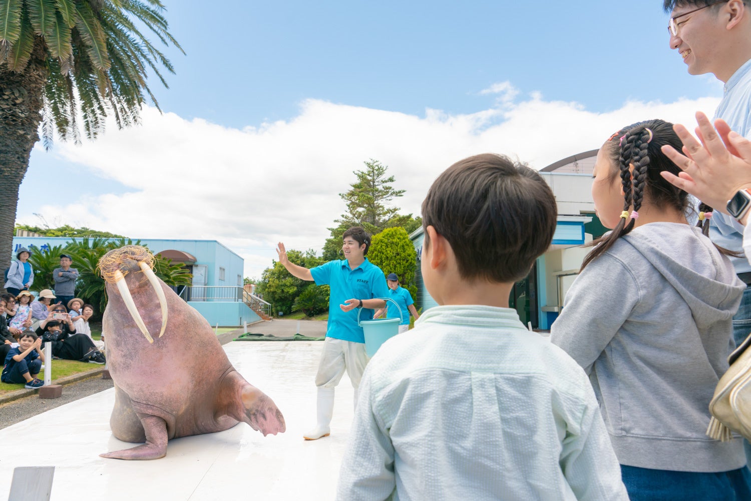 【開催レポート】市民プールがダンスフロアに!「POOOL FESTIVAL 2025 Presented by MUSIC CIRCUS」2日間で総勢約2,000人が来場