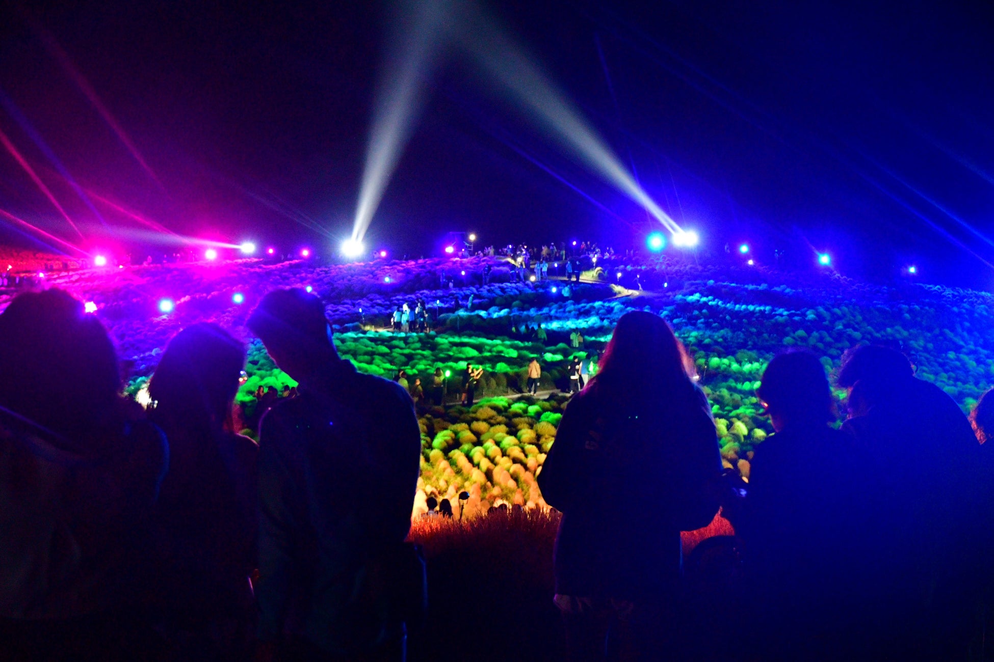 10年に一度の豪雪で存続危機!地域の誇り「越後まつだい冬の陣」35年の歴史を未来へつなぐクラウドファンディング挑戦