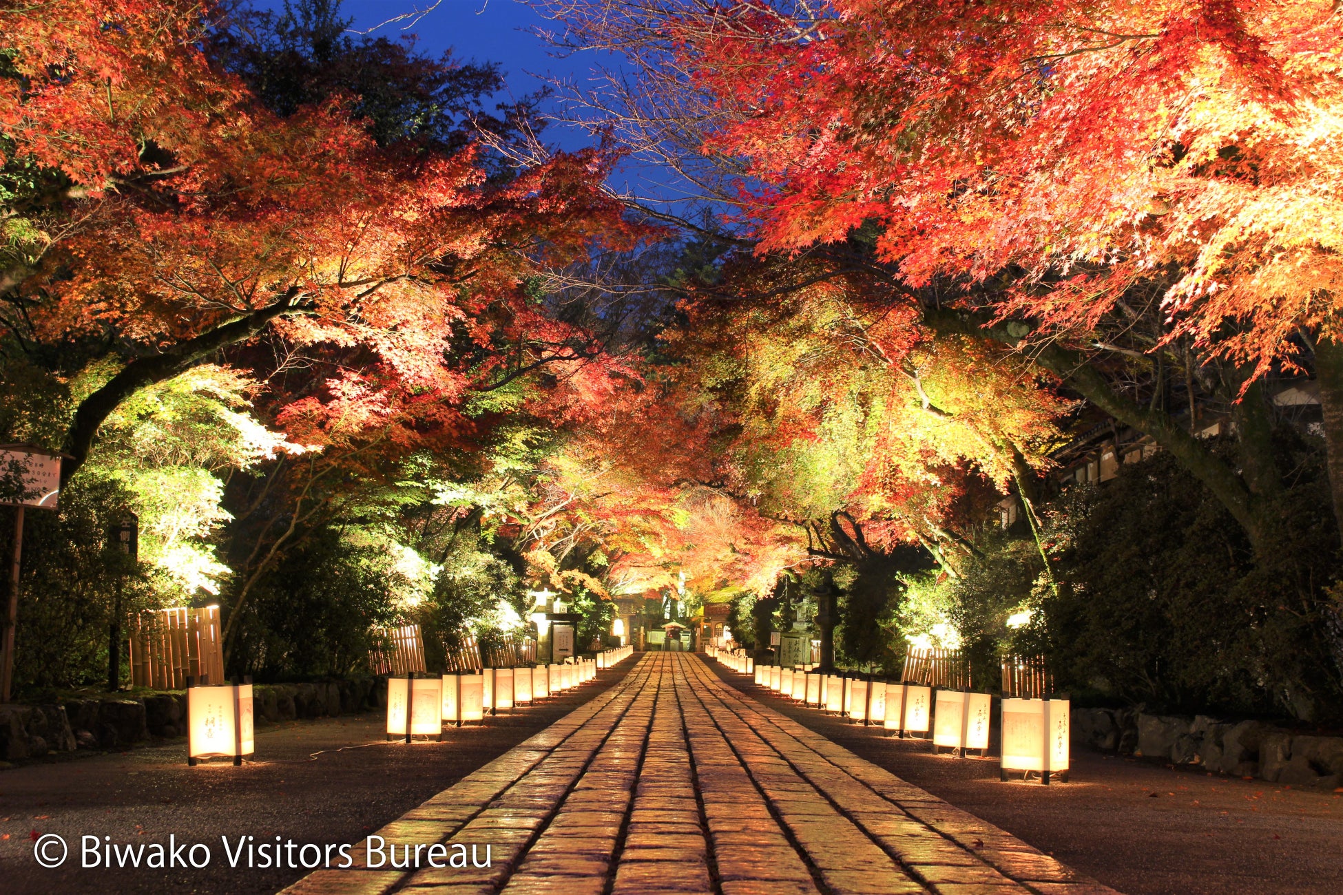 鉾田市「まちスパチャプロジェクト」が「NANASHI FES 2025 “JACKPOT”」に出店し農産品の魅力を発信。