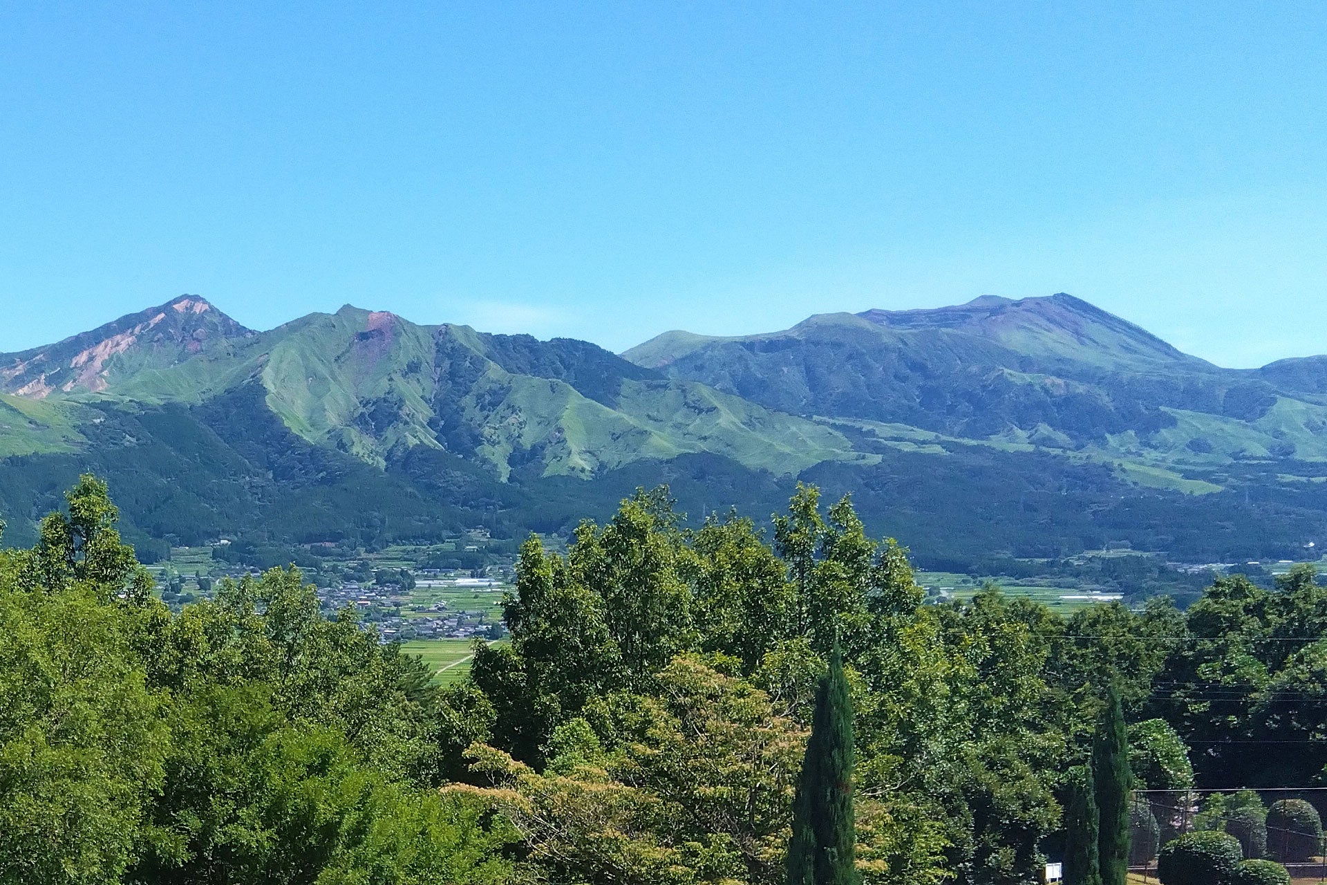 インバウンド客の訪日中の飲酒行動と人気ビールランキング