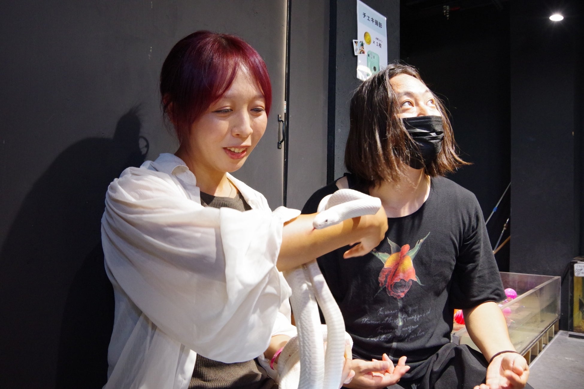 障がいのあるお子さまとそのご家族をパークへご招待 ドリームデイ・アット・ザ・ズー 2025 in アドベンチャーワールド 9月11日(木)から参加者・ボランティアの募集を開始します!