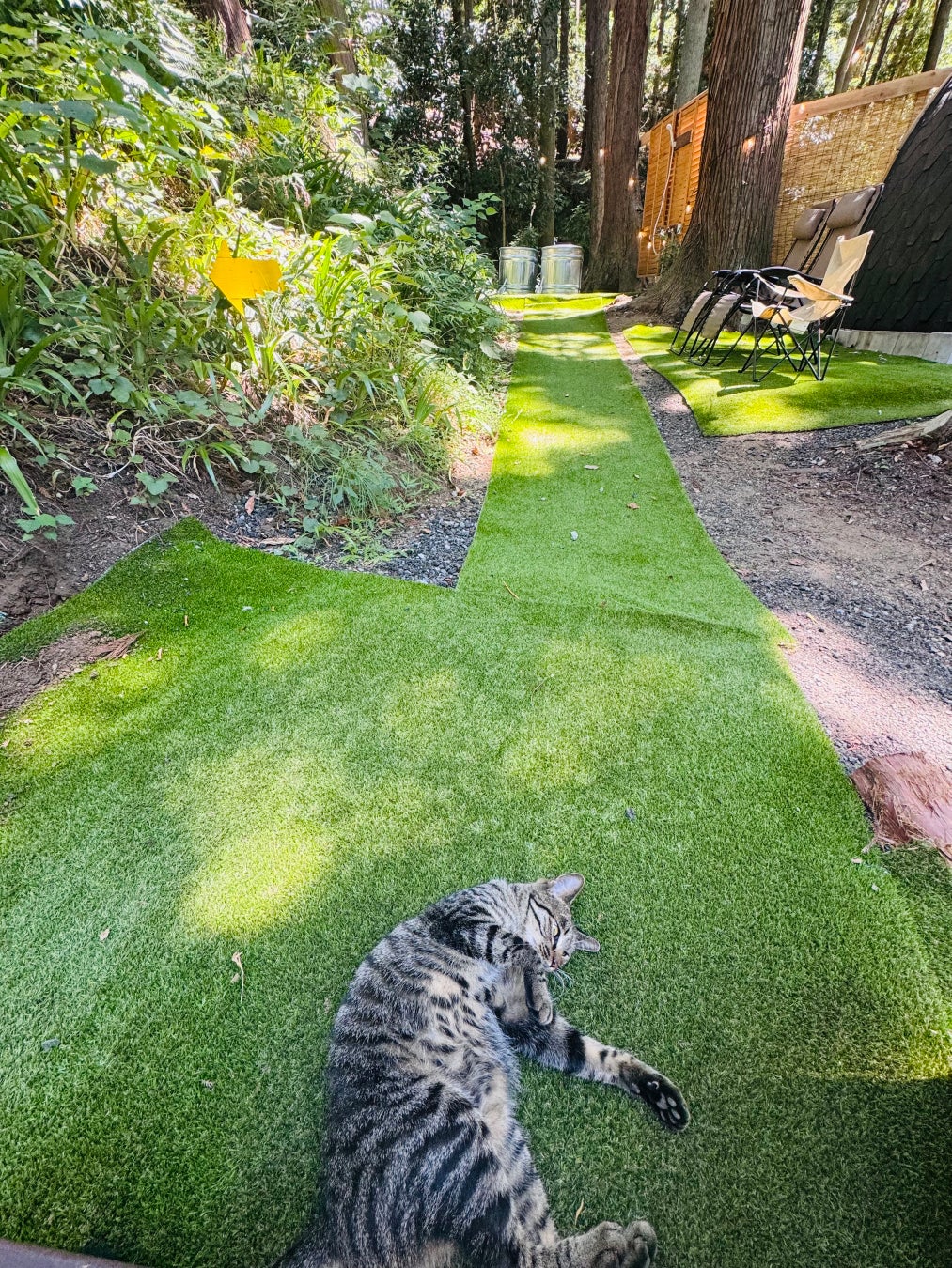 【Café Kitsuné】秋の新メニューが登場