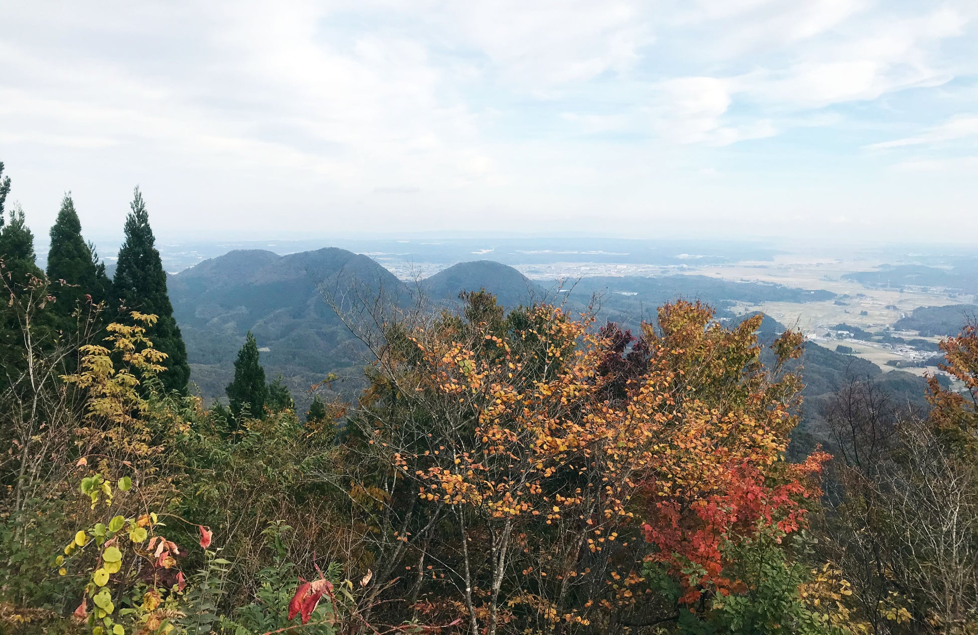 クリスマスも、帝国ホテルの味をご家庭で　インペリアルクリスマス2025