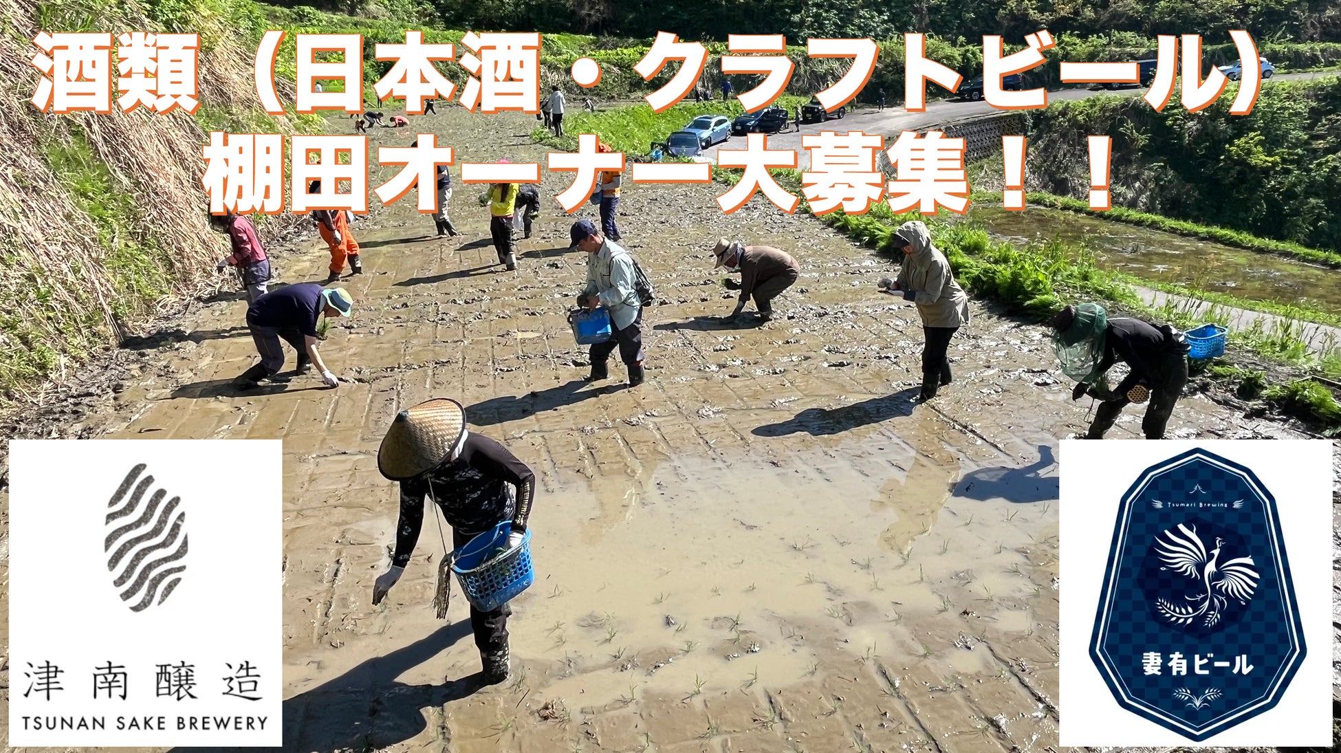 日本初!体験型イルミネーション「伊豆高原グランイルミ~11th SEASON~」 伊豆ぐらんぱる公園にて2025年11月7日(金)スタート!