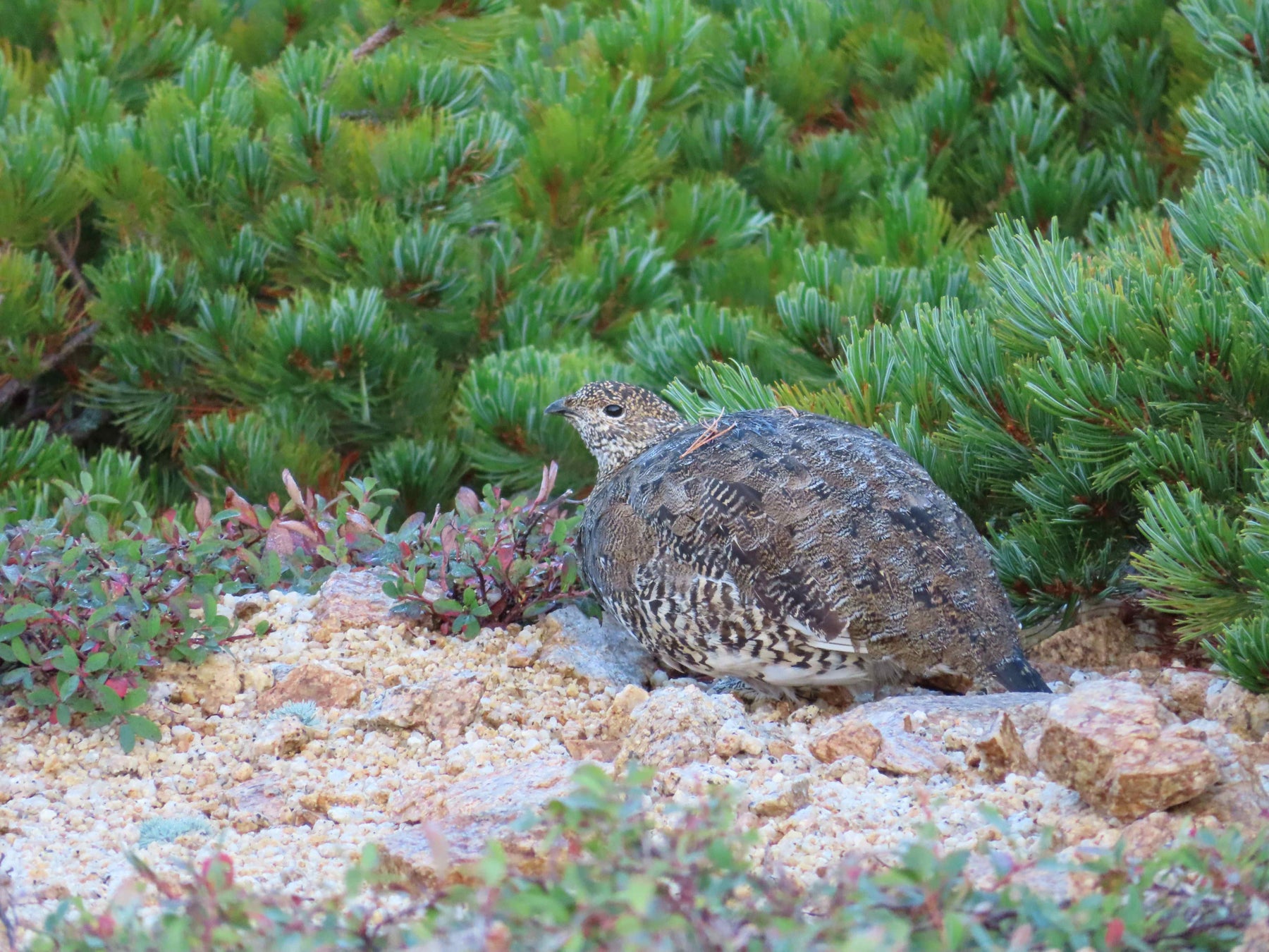 十三の記憶を写真で辿るアートプロジェクト「JUSO ARCHIVE PROJECT」発足