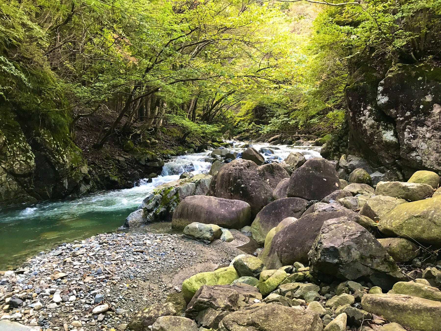 AdvaNceD IoTスマートチェックインが進化!アンケートと在庫管理を連動させ、きめ細やかな自動案内とサービス最適化を実現