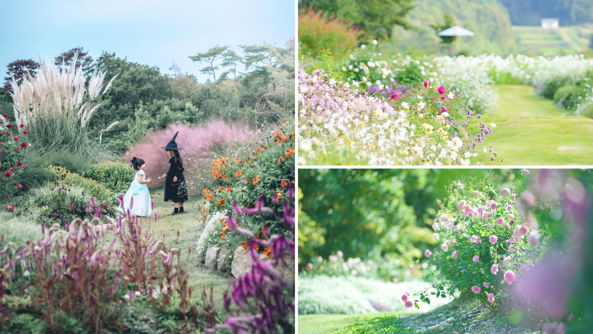 株式会社Stack、アルコ株式会社が運営する米国発アウトドアブランド「Cotopaxi」に「VIP-会員プログラム」「Appify-モバイルアプリ」を提供 – グローバルブランドの日本展開を支える