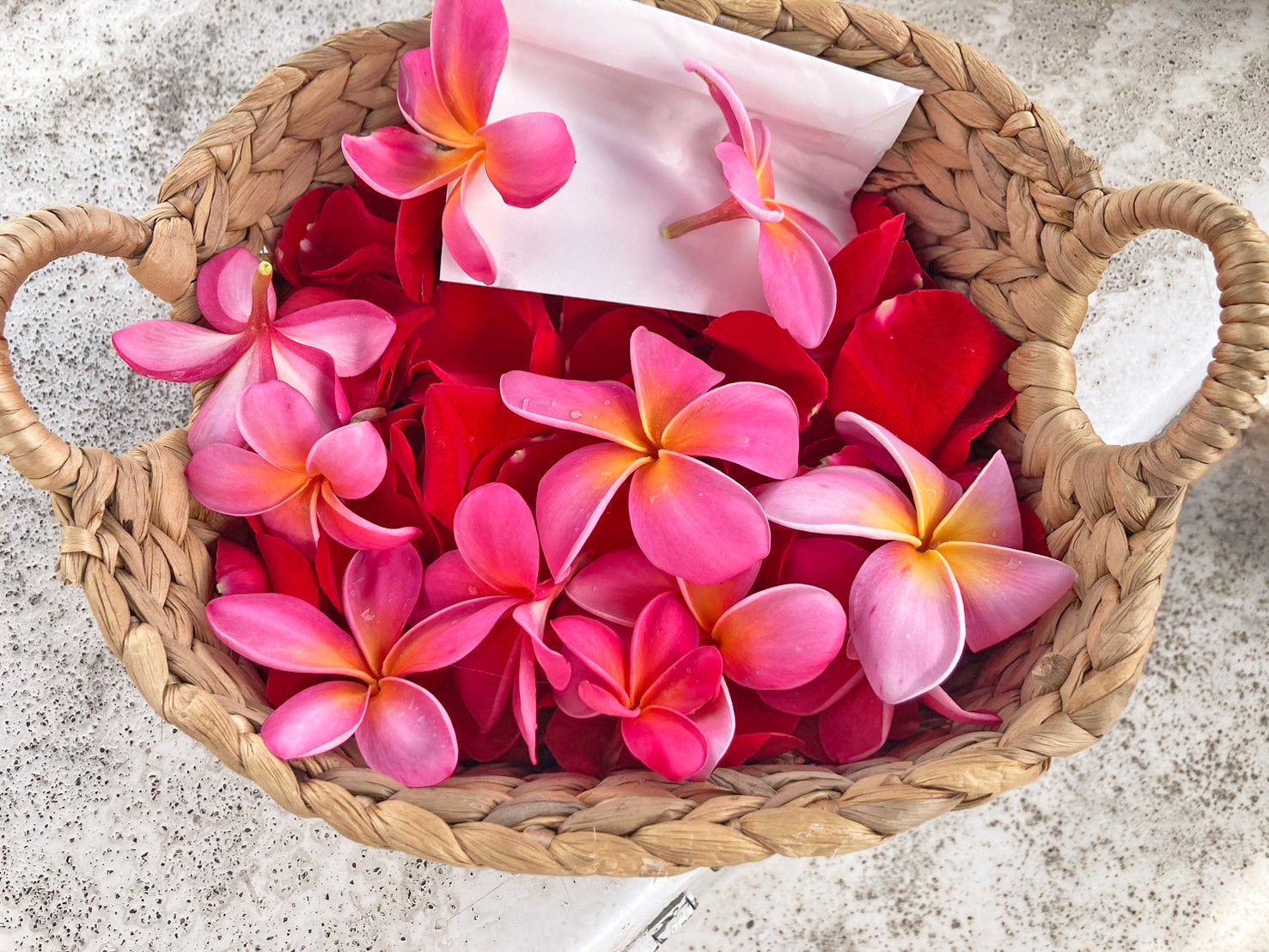 果てなき緑の波、南米の秘境アマゾン！現地旅行会社が今おすすめしたい観光ランキングを発表！