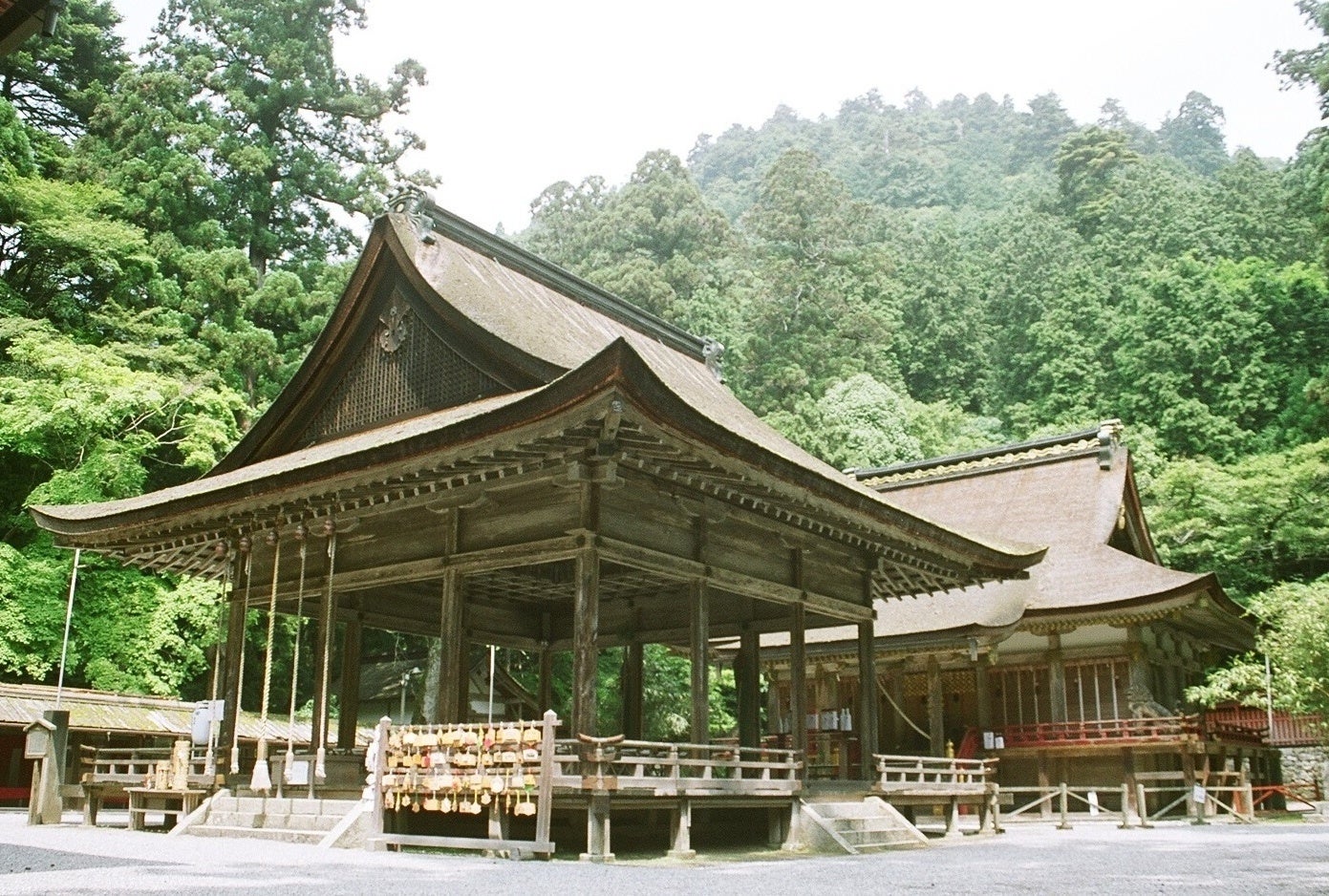 トランジットクリエイティブがプロデュースするピックルボールブランド〈PICA PICKLE〉が「PICA Fujiyama」に誕生。