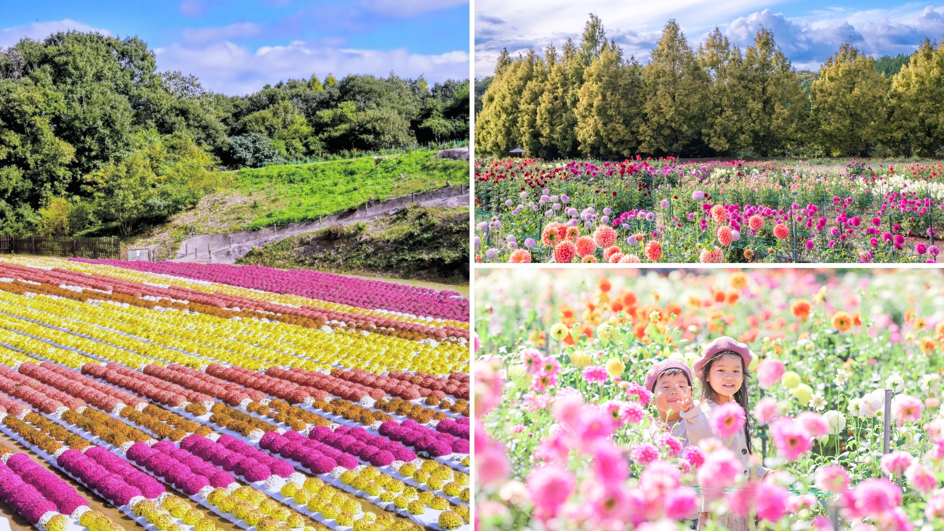 見て、飲んで、巡る──宿泊者限定の贅沢なホテル体験
