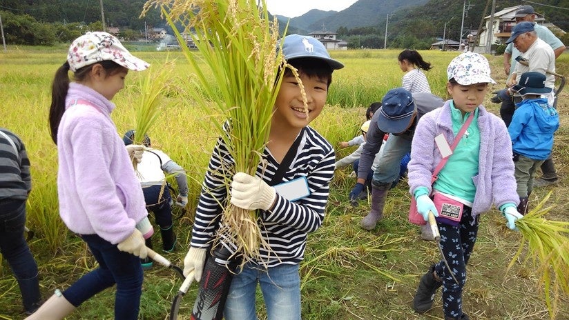 ウインドスタークルーズ、新テーマクルーズコレクションを発表