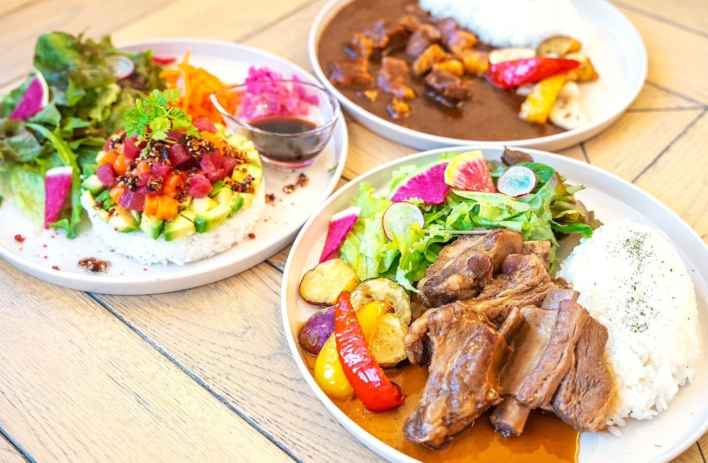 横浜で愛犬と楽しむ3日間「YOKOHAMA GOGO DOG FES 2025 Autumn」開催決定！