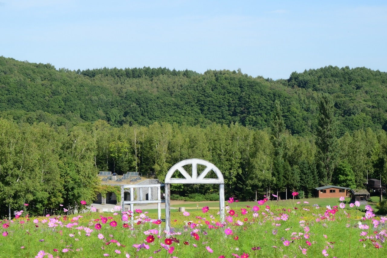日本のスイス「四国カルスト」を舞台にしたデジタルスタンプラリー 「巡ってもらえるデジタルスタンプ四国カルストーリー♪」開催!!
