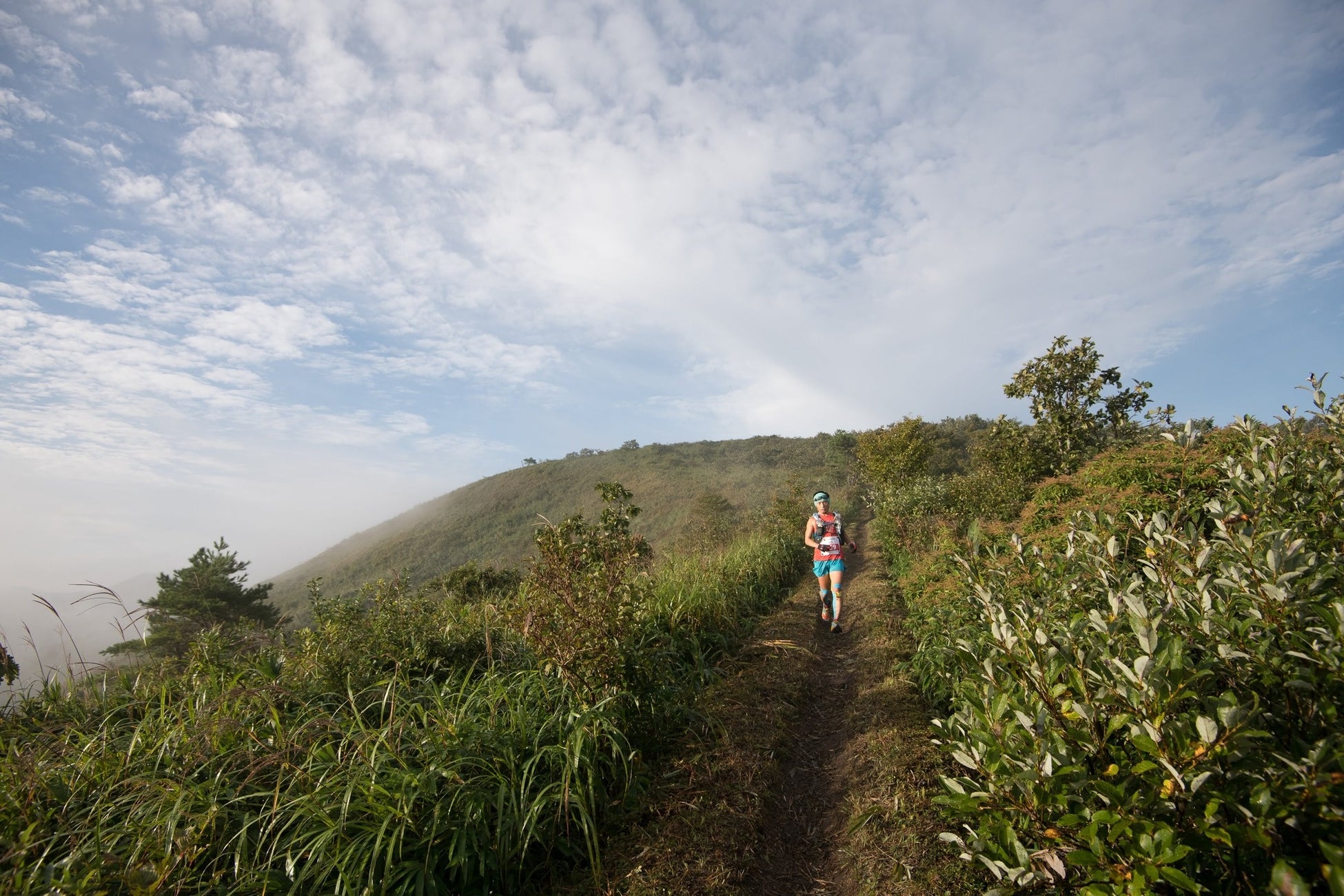 丹後半島の暮らしとものづくりの現場から生まれた職人の技による作品が集う「丹後の小さな美術館」が９月13日（土）オープン
