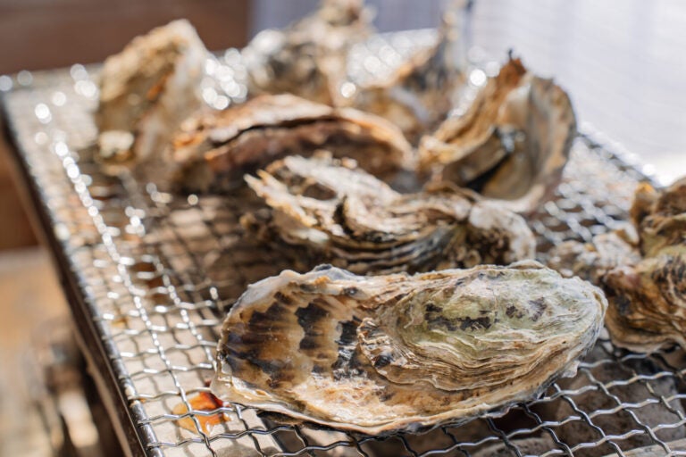 【熱海パールスターホテル】ハロウィンアフタヌーンティー 2025 ~秋の実りを愉しむ、大人のハロウィン~