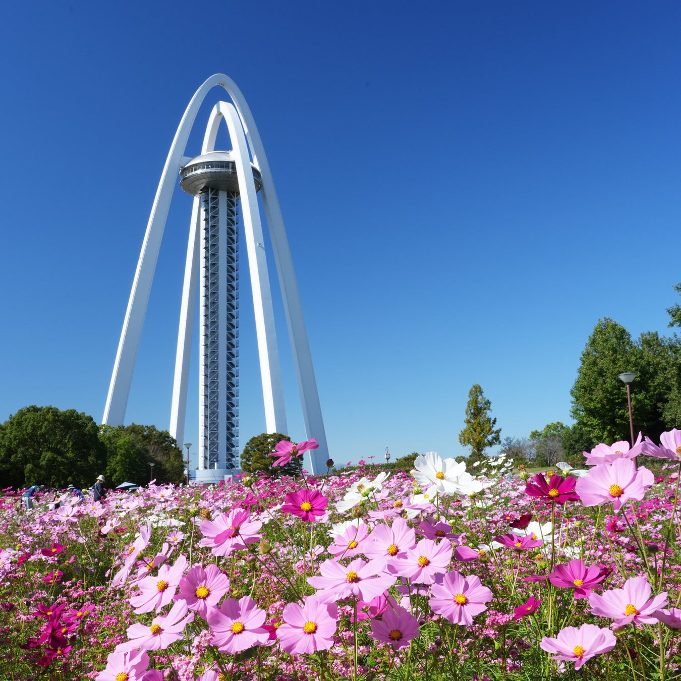 野外映画フェス《丘の向こうに森の映画祭 2025》タイムテーブル、会場マップの公開。全27作品の上映を発表