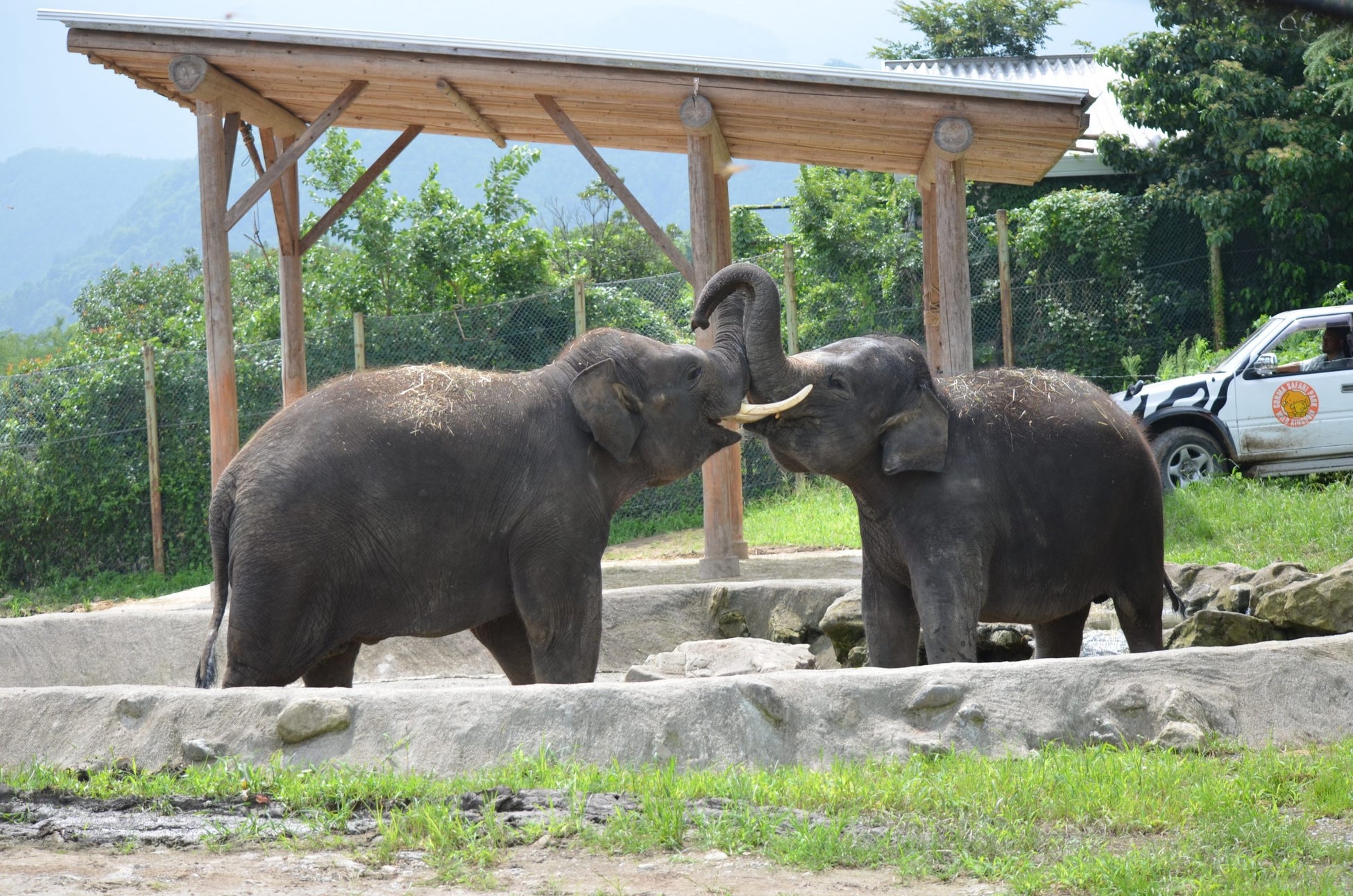 【KiU秋冬リュック特集】　機能性抜群！通勤にも旅行にも今すぐ使える！