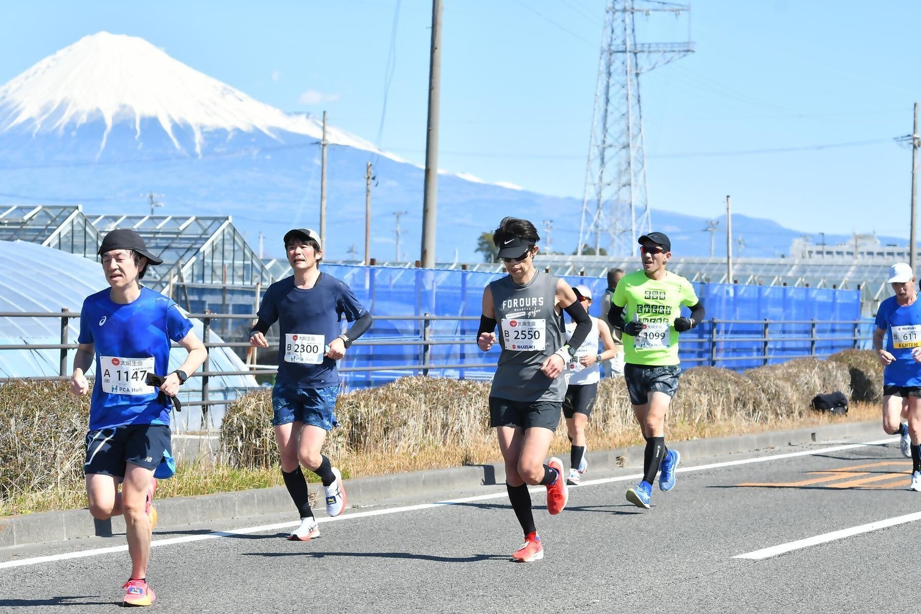 【仙台ロイヤルパークホテル】「幻想的なライトアップ煌めく、ひかりの森」/2025年11月1日(土)より開催