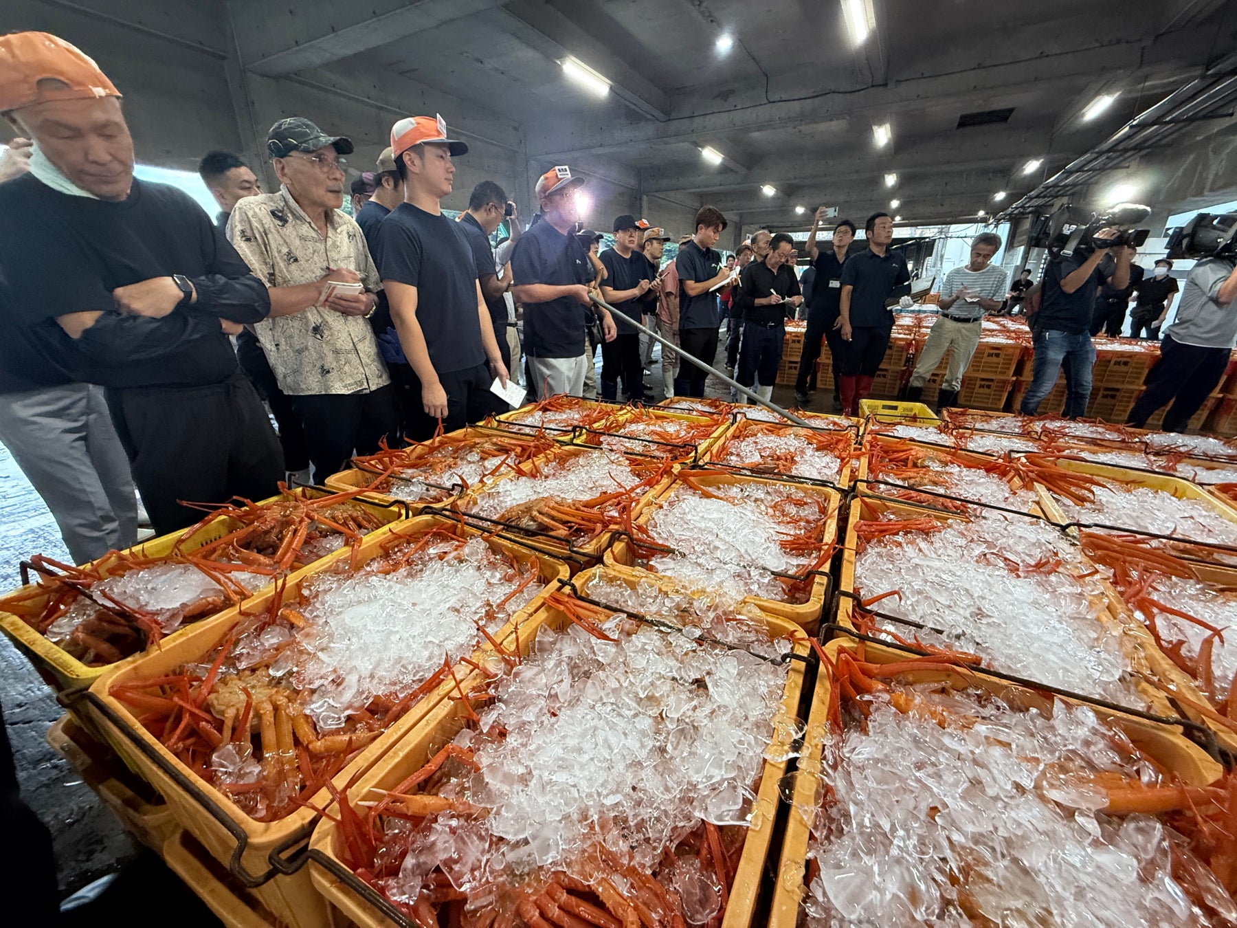 「2025年度 パデル ジュニア日本代表選手」 メンバー発表のお知らせ