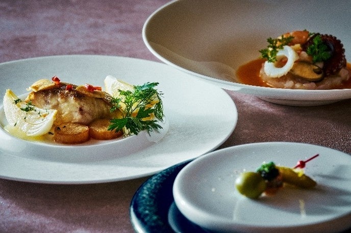 「2025年度 パデル ジュニア日本代表選手」 メンバー発表のお知らせ