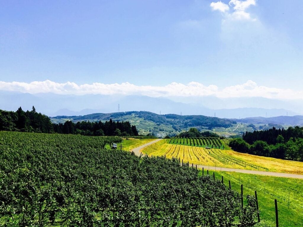 YAMATO Hotel & Residence株式会社、株式会社シーラテクノロジーズ、GMO OMAKASE株式会社および個人投資家より資金調達